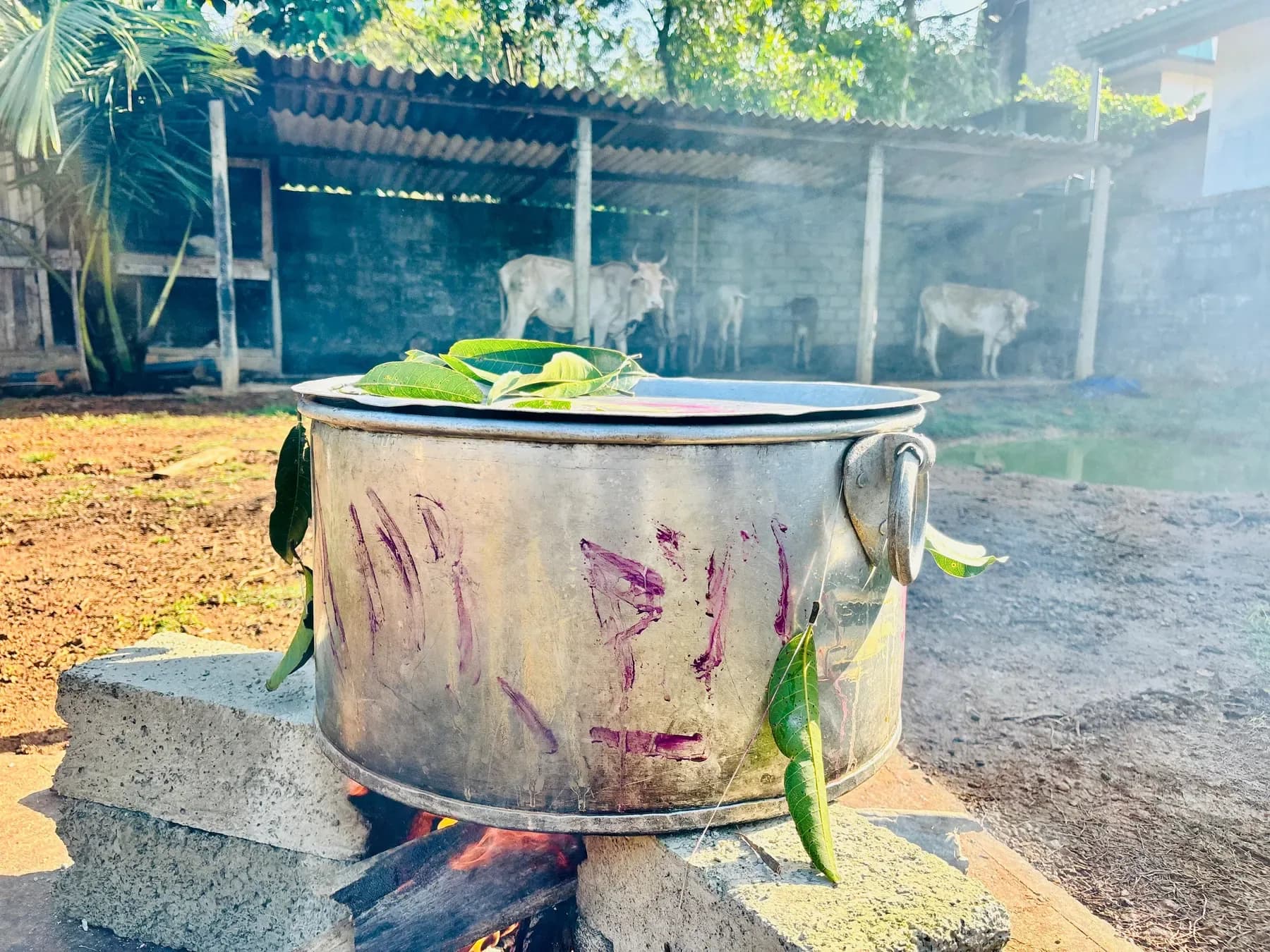 Cooking over an open hearth the traditional way